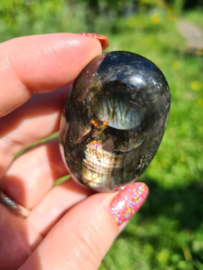 Labradoriet palmsteen 53