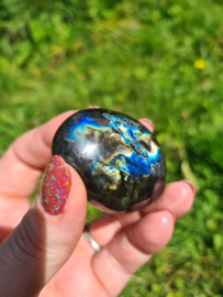 Labradoriet palmsteen 22