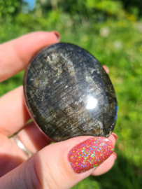 Labradoriet palmsteen 31