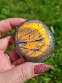 Labradoriet palmsteen 2