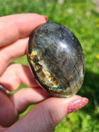 Labradoriet palmsteen 32