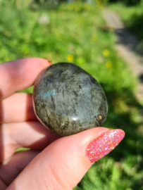 Labradoriet palmsteen 66