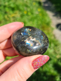 Labradoriet palmsteen 41