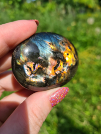 Labradoriet palmsteen 31