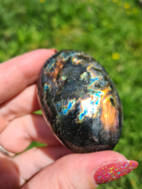 Labradoriet palmsteen 18