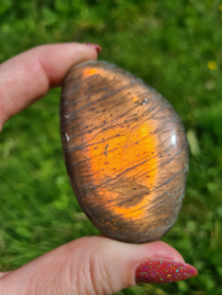 Labradoriet palmsteen 6