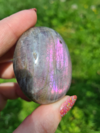 Labradoriet palmsteen 28