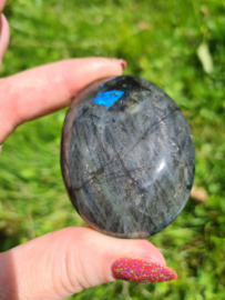 Labradoriet palmsteen 1