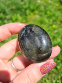 Labradoriet palmsteen 19