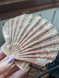 Wierookhouder Sint Jacobsschelp