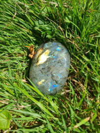 Labradoriet palmsteen 5