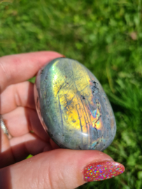 Labradoriet palmsteen 42