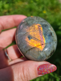 Labradoriet palmsteen 27