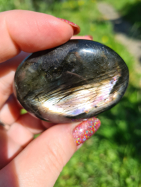 Labradoriet palmsteen 56