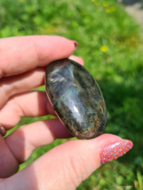 Labradoriet palmsteen 29