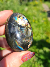 Labradoriet palmsteen 51