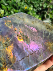 Labradoriet vrije vorm (paars/blauw)