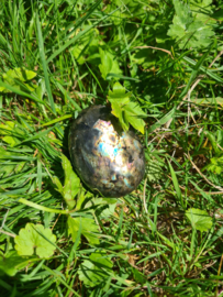 Labradoriet palmsteen 19