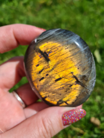 Labradoriet palmsteen 2