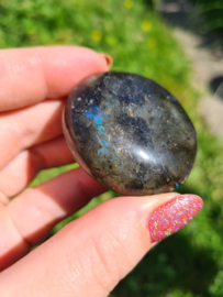 Labradoriet palmsteen 41