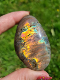 Labradoriet palmsteen 6