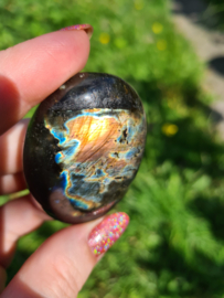 Labradoriet palmsteen 62