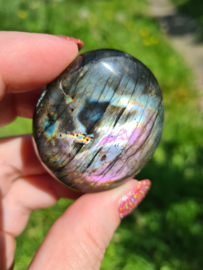 Labradoriet palmsteen 26