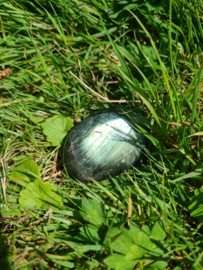 Labradoriet palmsteen 11