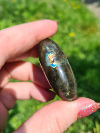 Labradoriet palmsteen 29