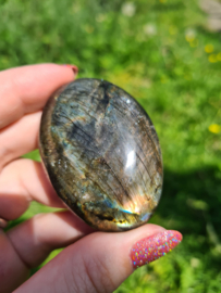 Labradoriet palmsteen 32
