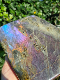 Labradoriet vrije vorm (paars/blauw)