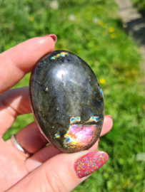 Labradoriet palmsteen 23