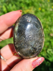 Labradoriet palmsteen 50