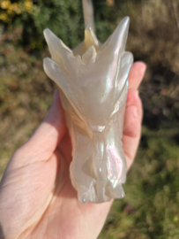 Aura coated agaat draak