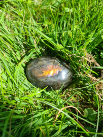 Labradoriet palmsteen 48