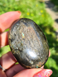 Labradoriet palmsteen 62