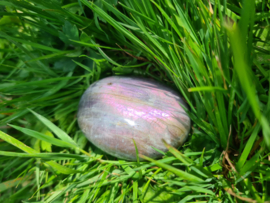 Labradoriet palmsteen 28