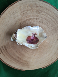 Schelpen decoratie 2