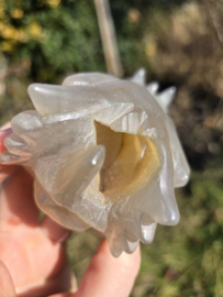 Aura coated agaat draak