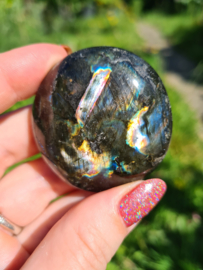 Labradoriet palmsteen 54