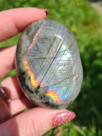 Labradoriet palmsteen 27