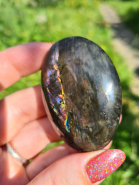 Labradoriet palmsteen 69