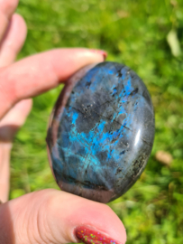 Labradoriet palmsteen 1