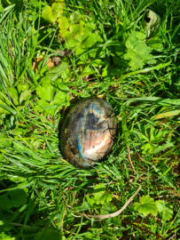 Labradoriet palmsteen 32