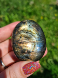 Labradoriet palmsteen 50