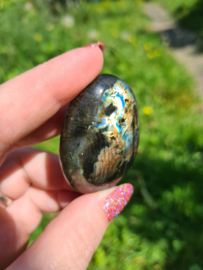 Labradoriet palmsteen 29