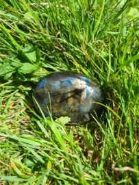 Labradoriet palmsteen 12