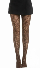 Lace panty bruin