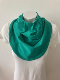 SS 042 Gras Groen