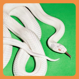 Deftones - Private Music | LP